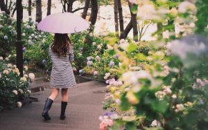 「葬式の描写は晴れ派?雨派?」←性癖リトマス紙として優秀すぎるww