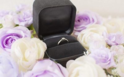 推しカプのプロポーズを考えるボドゲがあまりに捗りすぎる