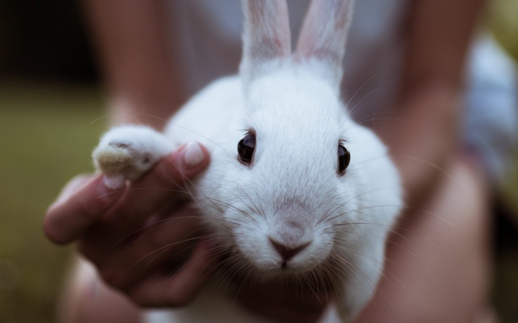 「『同人誌大丈夫でしたボタン』が欲しい」→共感の声多数wwwww