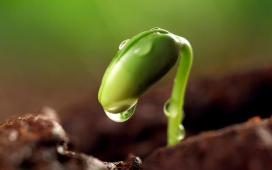 【進撃】リヴァエレはシンメトリー萌えがすごい…なにもかも正反対の2人の魅力って？【腐ネタ】