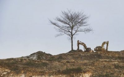 同人イベントで使い心地最強なキャリーバッグ発掘！