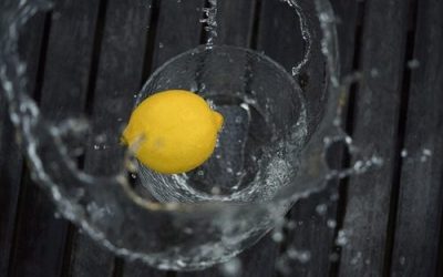 『Lemon』に合う推しカプモンゴル相撲、ファイッ！