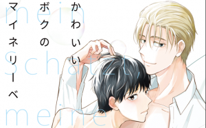 新刊BL『かわいいボクのマイネリーベ』感想・試し読み・あらすじ・特典まとめ