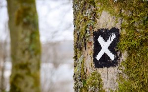 漫画やアニメの版権絵を使用した玄関マット？それ、無許可無認可ですよ！！