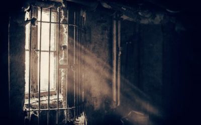 もしも山寺宏一が逮捕されたら凍結されるアニメ一覧作ったｗｗ