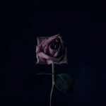 あなたの性癖は闇？それとも…腐女子診断チャートがわかりみ強い