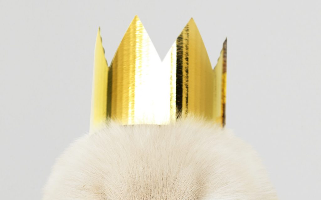 【キンプリ】新宿タワレコでのアルバム発売記念フェアの詳細が発表！タワレコのカケル推しが熱すぎる…！【KING OF PRISM】