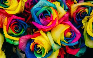 【キンプリ】第3章公開開始！レオ×ユウ×アレクの色紙風ミニカードと選べるブロマイド配布！ハンカチを持参して映画館へ急げ！【KING OF PRISM】