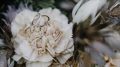 【ハイキュー!!】大菅が「夫婦」と称される所以が納得すぎて困る【腐ネタ】